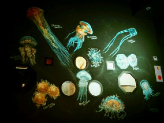 松島水族館クラゲ館壁画.png